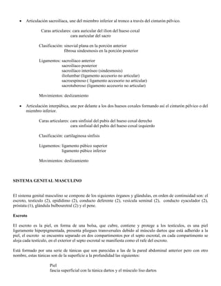 Abdomen y mienbro inferior