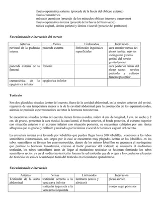 Abdomen y mienbro inferior