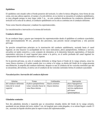 Abdomen y mienbro inferior