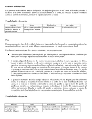 Abdomen y mienbro inferior