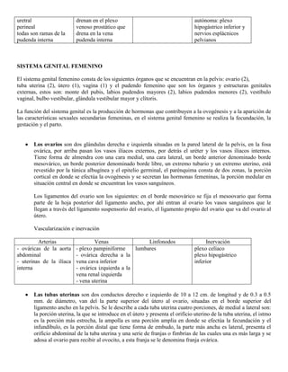 Abdomen y mienbro inferior