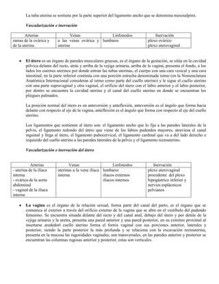 Abdomen y mienbro inferior