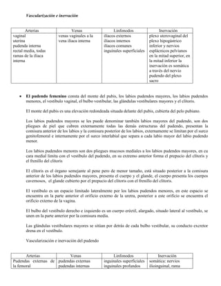 Abdomen y mienbro inferior