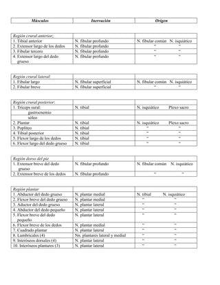 Abdomen y mienbro inferior