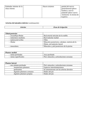 Abdomen y mienbro inferior