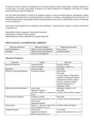 Abdomen y mienbro inferior