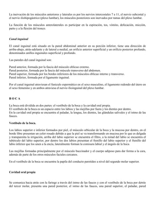 Abdomen y mienbro inferior