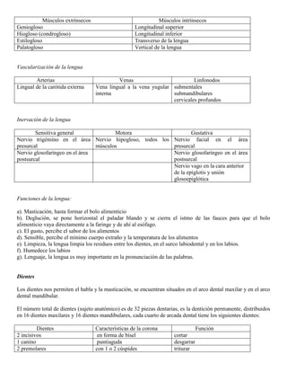 Abdomen y mienbro inferior