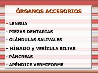 ÓRGANOS ACCESORIOS

- LENGUA
- PIEZAS DENTARIAS

- GLÁNDULAS SALIVALES

- HÍGADO y VESÍCULA BILIAR
- PÁNCREAS

- APÉNDICE VERMIFORME
 