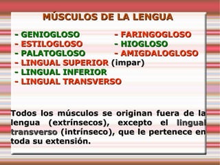 MÚSCULOS DE LA LENGUA
- GENIOGLOSO        - FARINGOGLOSO
- ESTILOGLOSO       - HIOGLOSO
- PALATOGLOSO       - AMIGDALOGLOSO
- LINGUAL SUPERIOR (impar)
- LINGUAL INFERIOR
- LINGUAL TRANSVERSO



Todos los músculos se originan fuera de la
lengua (extrínsecos), excepto el lingual
transverso (intrínseco), que le pertenece en
toda su extensión.
 