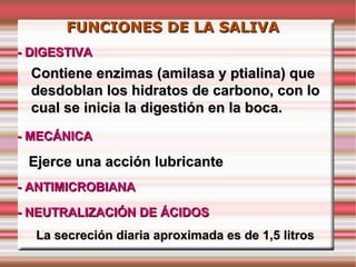 FUNCIONES DE LA SALIVA
- DIGESTIVA
  Contiene enzimas (amilasa y ptialina) que
  desdoblan los hidratos de carbono, con lo
  cual se inicia la digestión en la boca.
- MECÁNICA

 Ejerce una acción lubricante
- ANTIMICROBIANA

- NEUTRALIZACIÓN DE ÁCIDOS
  La secreción diaria aproximada es de 1,5 litros
 