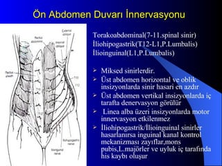 Ön Abdomen Duvarı İnnervasyonu Torakoabdominal(7-11.spinal sinir) İliohipogastrik(T12-L1,P.Lumbalis) İlioinguinal(L1,P.Lumbalis) Miksed sinirlerdir. Üst abdomen horizontal ve oblik insizyonlarda sinir hasari en azdır Üst abdomen vertikal insizyonlarda iç tarafta denervasyon görülür Linea alba üzeri insizyonlarda motor innervasyon etkilenmez İliohipogastrik/İlioinguinal sinirler hasarlanırsa inguinal kanal kontrol mekanizması zayıflar,mons pubis,L.majörler ve uyluk iç tarafında his kaybı oluşur 