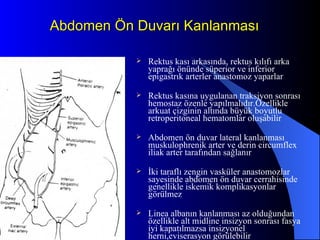 Abdomen Ön Duvarı Kanlanması Rektus kası arkasında, rektus kılıfı arka yaprağı önünde süperior ve inferior epigastrık arterler anastomoz yaparlar Rektus kasına uygulanan traksiyon sonrası hemostaz özenle yapılmalıdır.Özellikle arkuat çizginin altında büyük boyutlu retroperitoneal hematomlar oluşabilir Abdomen ön duvar lateral kanlanması muskulophrenik arter ve derin circumflex iliak arter tarafından sağlanır İki taraflı zengin vasküler anastomozlar sayesinde abdomen ön duvar cerrahisinde genellikle iskemik komplikasyonlar görülmez Linea albanın kanlanması az olduğundan özellikle alt midline insizyon sonrası fasya iyi kapatılmazsa insizyonel herni,eviserasyon görülebilir 