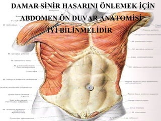 DAMAR SİNİR HASARINI ÖNLEMEK İÇİN ABDOMEN ÖN DUVAR ANATOMİSİ İYİ BİLİNMELİDİR 