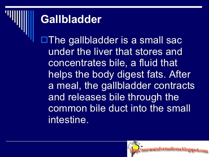 Fat Free Diet Liver Ultrasound Food List Fat Free Diet Liver Ultrasound Food List