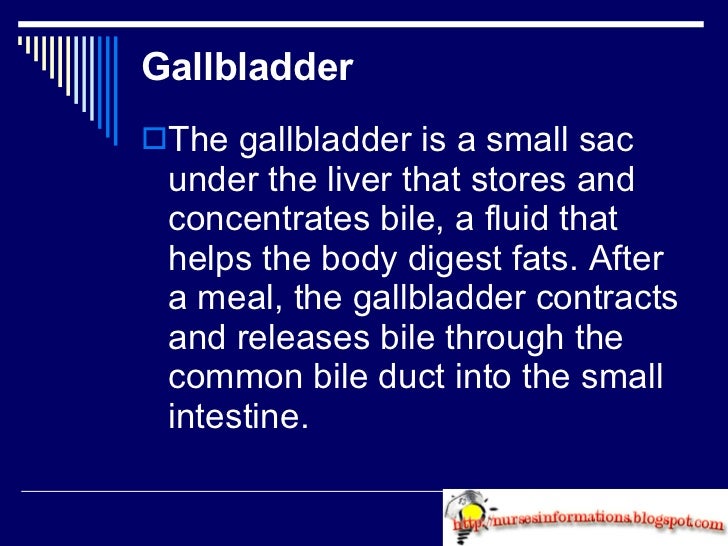 No Fat Diet For Abdominal Ultrasound Pictures