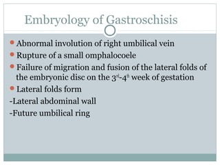 Embryology of Gastroschisis
Abnormal involution of right umbilical vein
Rupture of a small omphalocoele
Failure of migration and fusion of the lateral folds of
the embryonic disc on the 3rd
-4th
week of gestation
Lateral folds form
-Lateral abdominal wall
-Future umbilical ring
 