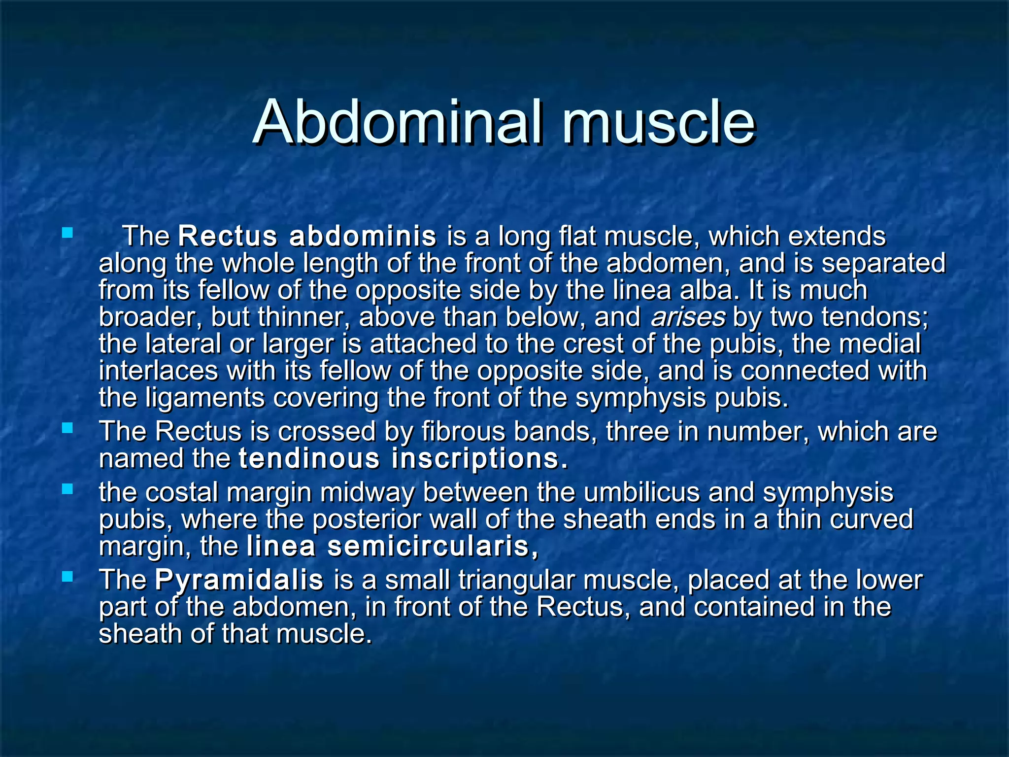 Abdominal anatomy | PPT