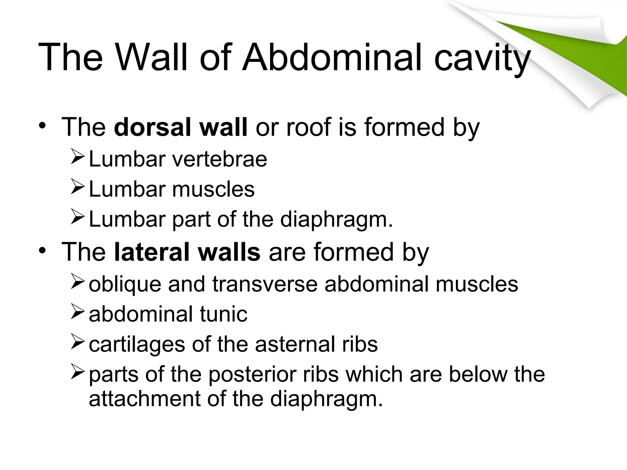 Abdominal anatomy | PPT