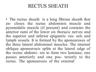 Internal Sheath Abdominal anatomy and ingnal wall liner apba | PDF