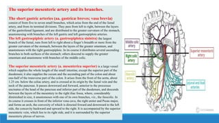 The superior mesenteric artery and its branches.
The short gastric arteries (aa. gastricæ breves; vasa brevia)
consist of from five to seven small branches, which arise from the end of the lienal
artery, and from its terminal divisions. They pass from left to right, between the layers
of the gastrolienal ligament, and are distributed to the greater curvature of the stomach,
anastomosing with branches of the left gastric and left gastroepiploic arteries.
The left gastroepiploic artery (a. gastroepiploica sinistra) the largest
branch of the lienal, runs from left to right about a finger’s breadth or more from the
greater curvature of the stomach, between the layers of the greater omentum, and
anastomoses with the right gastroepiploic. In its course it distributes several ascending
branches to both surfaces of the stomach; others descend to supply the greater
omentum and anastomose with branches of the middle colic.
The superior mesenteric artery (a. mesenterica superior) is a large vessel
which supplies the whole length of the small intestine, except the superior part of the
duodenum; it also supplies the cecum and the ascending part of the colon and about
one-half of the transverse part of the colon. It arises from the front of the aorta, about
1.25 cm. below the celiac artery, and is crossed at its origin by the lienal vein and the
neck of the pancreas. It passes downward and forward, anterior to the processus
uncinatus of the head of the pancreas and inferior part of the duodenum, and descends
between the layers of the mesentery to the right iliac fossa, where, considerably
diminished in size, it anastomoses with one of its own branches, viz., the ileocolic. In
its course it crosses in front of the inferior vena cava, the right ureter and Psoas major,
and forms an arch, the convexity of which is directed foward and downward to the left
side, the concavity backward and upward to the right. It is accompanied by the superior
mesenteric vein, which lies to its right side, and it is surrounded by the superior
mesenteric plexus of nerves.
 