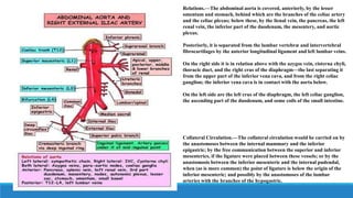 Relations.—The abdominal aorta is covered, anteriorly, by the lesser
omentum and stomach, behind which are the branches of the celiac artery
and the celiac plexus; below these, by the lienal vein, the pancreas, the left
renal vein, the inferior part of the duodenum, the mesentery, and aortic
plexus.
Posteriorly, it is separated from the lumbar vertebræ and intervertebral
fibrocartilages by the anterior longitudinal ligament and left lumbar veins.
On the right side it is in relation above with the azygos vein, cisterna chyli,
thoracic duct, and the right crus of the diaphragm—the last separating it
from the upper part of the inferior vena cava, and from the right celiac
ganglion; the inferior vena cava is in contact with the aorta below.
On the left side are the left crus of the diaphragm, the left celiac ganglion,
the ascending part of the duodenum, and some coils of the small intestine.
Collateral Circulation.—The collateral circulation would be carried on by
the anastomoses between the internal mammary and the inferior
epigastric; by the free communication between the superior and inferior
mesenterics, if the ligature were placed between these vessels; or by the
anastomosis between the inferior mesenteric and the internal pudendal,
when (as is more common) the point of ligature is below the origin of the
inferior mesenteric; and possibly by the anastomoses of the lumbar
arteries with the branches of the hypogastric.
 