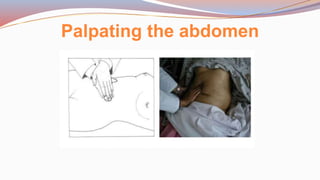 Palpating the abdomen
 