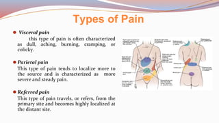 Types of Pain
⚫ Visceral pain
this type of pain is often characterized
as dull, aching, burning, cramping, or
colicky.
⚫ Parietal pain
This type of pain tends to localize more to
the source and is characterized as more
severe and steady pain.
⚫ Referred pain
This type of pain travels, or refers, from the
primary site and becomes highly localized at
the distant site.
 