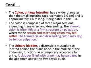 Conti….
• The Colon, or large intestine, has a wider diameter
than the small intestine (approximately 6.0 cm) and is
approximately 1.4 m long. It originates in the RLQ.
• The colon is composed of three major sections:
ascending, transverse, and descending. The sigmoid
colon is often felt as a firm structure on palpation,
whereas the cecum and ascending colon may feel
softer. The transverse and descending colon may also
be felt on palpation.
• The Urinary bladder, a distensible muscular sac
located behind the pubic bone in the midline of the
abdomen, functions as a temporary receptacle for
urine. A bladder filled with urine may be palpated in
the abdomen above the Symphysis pubis.
 