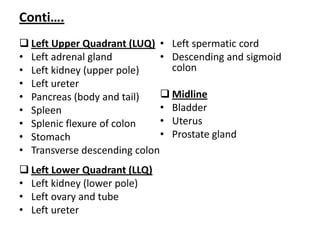 Conti….
 Left Upper Quadrant (LUQ)
• Left adrenal gland
• Left kidney (upper pole)
• Left ureter
• Pancreas (body and tail)
• Spleen
• Splenic flexure of colon
• Stomach
• Transverse descending colon
 Left Lower Quadrant (LLQ)
• Left kidney (lower pole)
• Left ovary and tube
• Left ureter
• Left spermatic cord
• Descending and sigmoid
colon
 Midline
• Bladder
• Uterus
• Prostate gland
 
