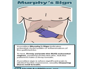 Abdominal assessment.pdf