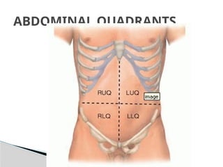 ABDOMINAL QUADRANTS
 