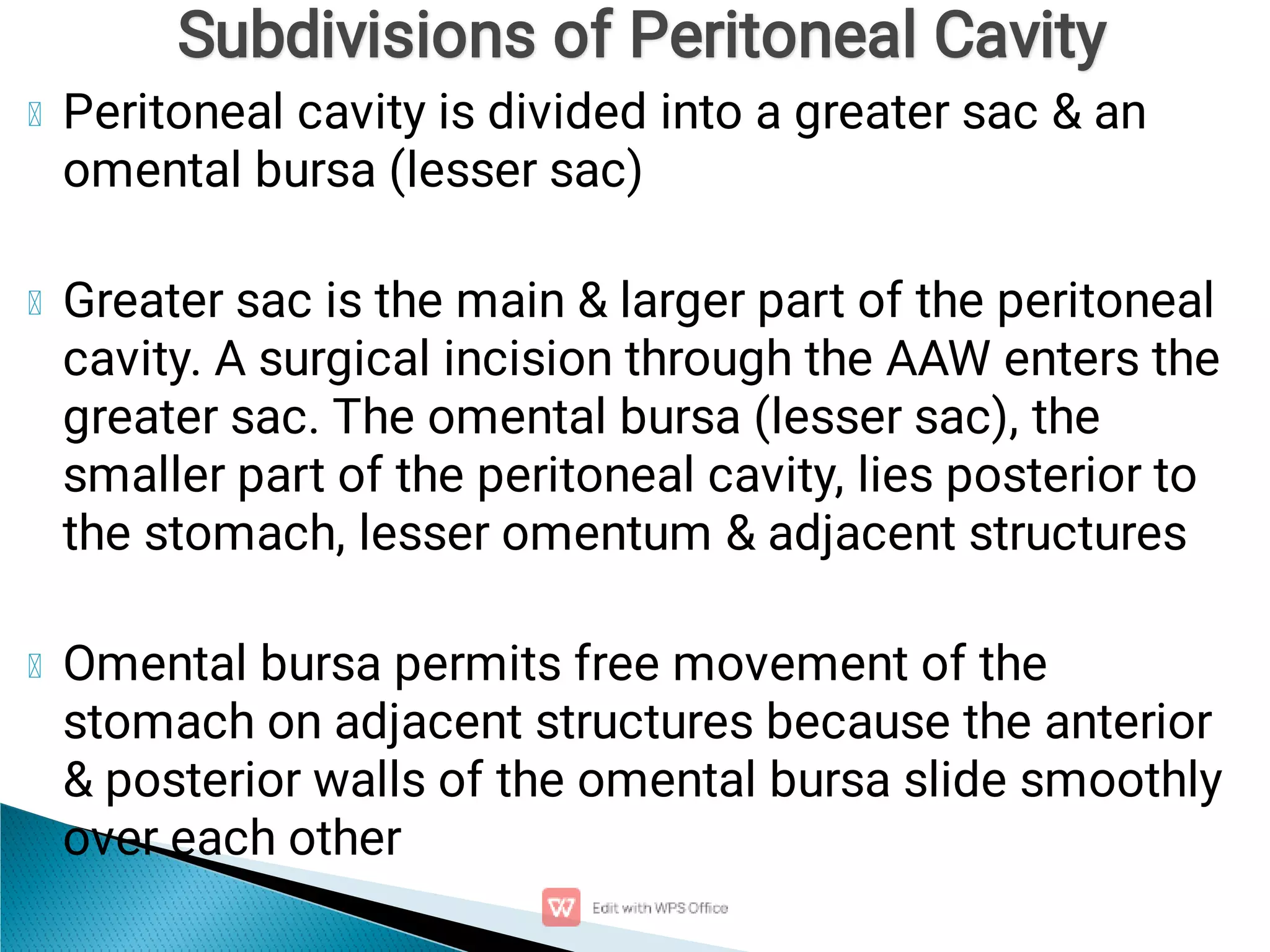 abdominal cavity and Accessory.pdf