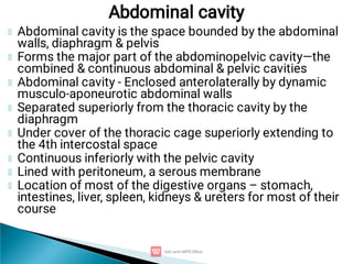 Abdominal cavity is the space bounded by the abdominal
walls, diaphragm & pelvis
Forms the major part of the abdominopelvic cavity—the
combined & continuous abdominal & pelvic cavities
Abdominal cavity - Enclosed anterolaterally by dynamic
musculo-aponeurotic abdominal walls
Separated superiorly from the thoracic cavity by the
diaphragm
Under cover of the thoracic cage superiorly extending to
the 4th intercostal space
Continuous inferiorly with the pelvic cavity
Lined with peritoneum, a serous membrane
Location of most of the digestive organs – stomach,
intestines, liver, spleen, kidneys & ureters for most of their
course
Abdominal cavity
 