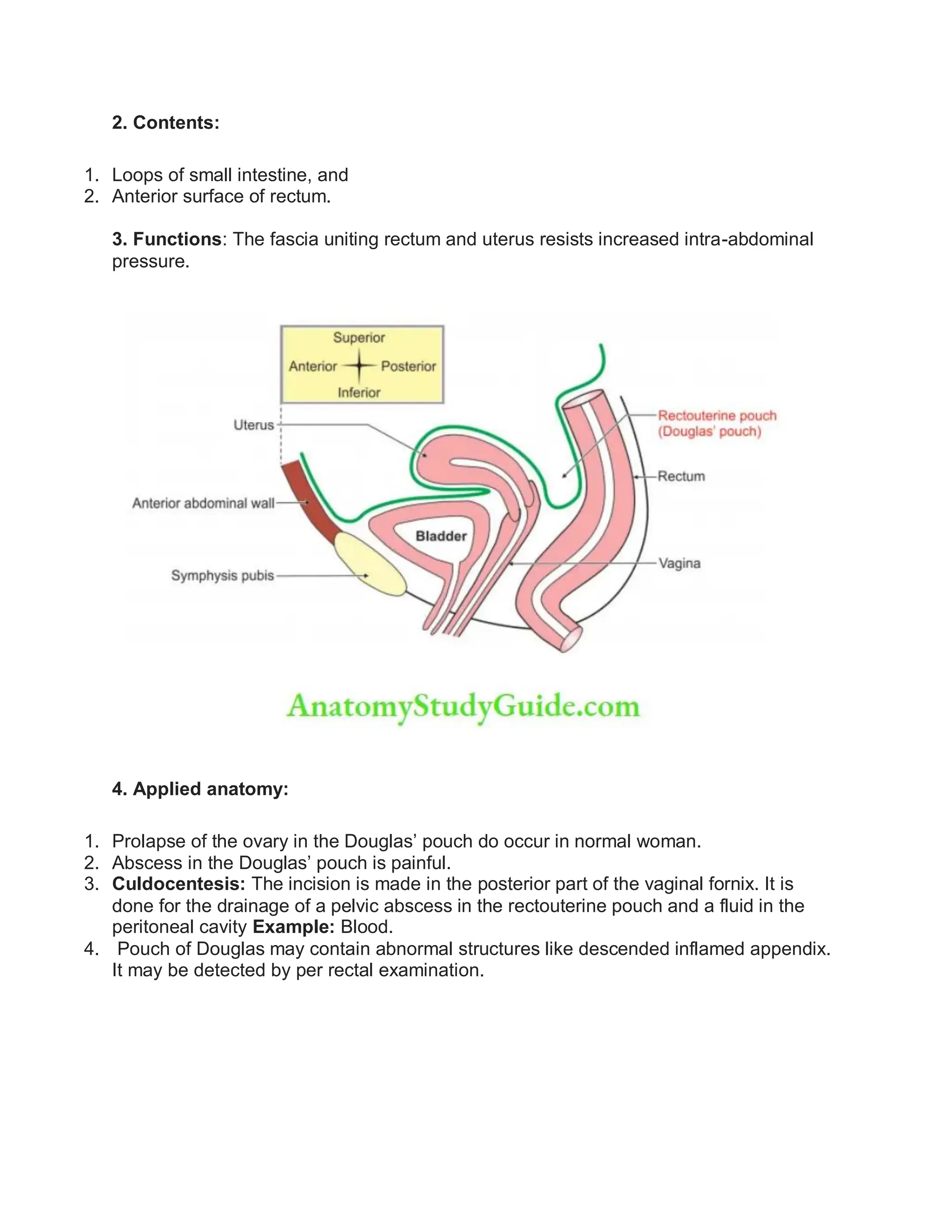 Abdominal Cavity And Peritoneum Questions And Answers | PDF