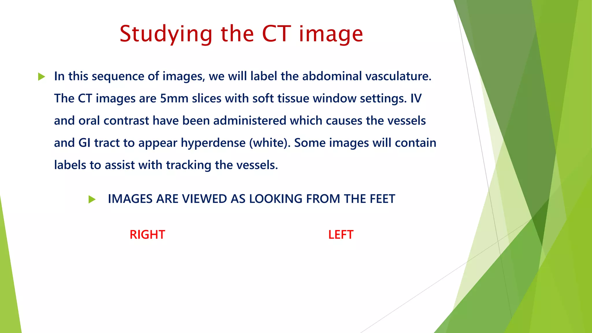 Studying the CT image
 In this sequence of images, we will label the abdominal vasculature.
The CT images are 5mm slices with soft tissue window settings. IV
and oral contrast have been administered which causes the vessels
and GI tract to appear hyperdense (white). Some images will contain
labels to assist with tracking the vessels.
 IMAGES ARE VIEWED AS LOOKING FROM THE FEET
RIGHT LEFT
 