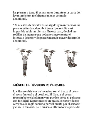 las piernas a tope. Si expulsamos durante esta parte del
levantamiento, recibiremos menos estímulo
abdominal.
* Si nuestros femorales están rígidos y mantenemos las
piernas estiradas, descubriremos que resulta casi
imposible subir las piernas. En este caso, doblad las
rodillas de manera que podamos incrementar el
intervalo de recorrido para conseguir mayor desarrollo
abdominal.
MÚSCULOS BÁSICOS IMPLICADOS
Los flexores básicos de la cadera son el ilíaco, el psoas,
el recto femoral y el pectíneo. El ilíaco y el psoas
reposan bajo el abdomen y no pueden verse ni palparse
con facilidad. El pectíneo es un músculo corto y denso
cercano a la ingle cubierto parcial mente por el sartorio
y el recto femoral. Este músculo último forma parte del
 