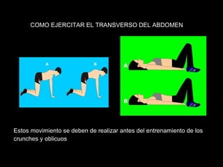 COMO EJERCITAR EL TRANSVERSO DEL ABDOMEN
Estos movimiento se deben de realizar antes del entrenamiento de los
crunches y oblicuos
 