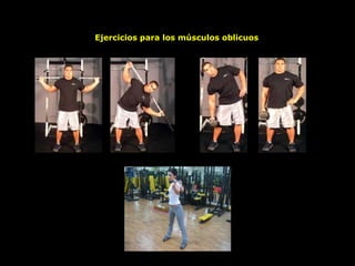 Ejercicios para los músculos oblicuos
 