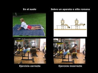En el suelo Sobre un aparato o silla romana
Ejercicio correcto Ejercicio incorrecto
 