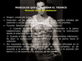 MUSCULOS QUE FLEXIONAN EL TRONCO
• Origen: cresta del pubis.
• Inserción: en las superficies anteriores de la apófisis xifoides del
esternón y en los cartílagos costales de la V, VI y VII costillas.
• Función: Básicamente la flexión de la espina (tronco)
1- Cuando la pelvis está fijo acerca el esternón a la pelvis
(abdominales superiores). Por eso debes realizar la contracción
desde el esternón hacia la pelvis.
2- Cuando el tórax está fijo eleva la pelvis (abdominales inferiores).
Es decir la contracción debes realizarlo desde la pelvis hacia el
esternón.
• Sin necesidad de añadir carga o peso, el grado de dificultad en el
entrenamiento abdominal puede ser de tres variantes: a) de
acuerdo a la posición de los pies, b) de acuerdo a la posición del
banco y c) de acuerdo a la posición de las manos.
Músculo recto del abdomenMúsculo recto del abdomen
 