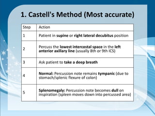 Comprehensive Abdominal Assessment: History, Anatomy, and Physical Exam ...