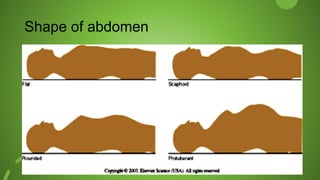 Shape of abdomen