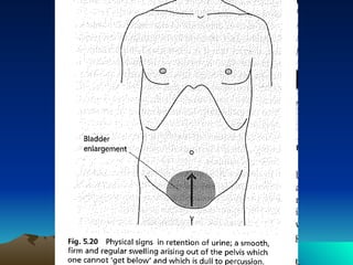 Abdominal examination | PPT