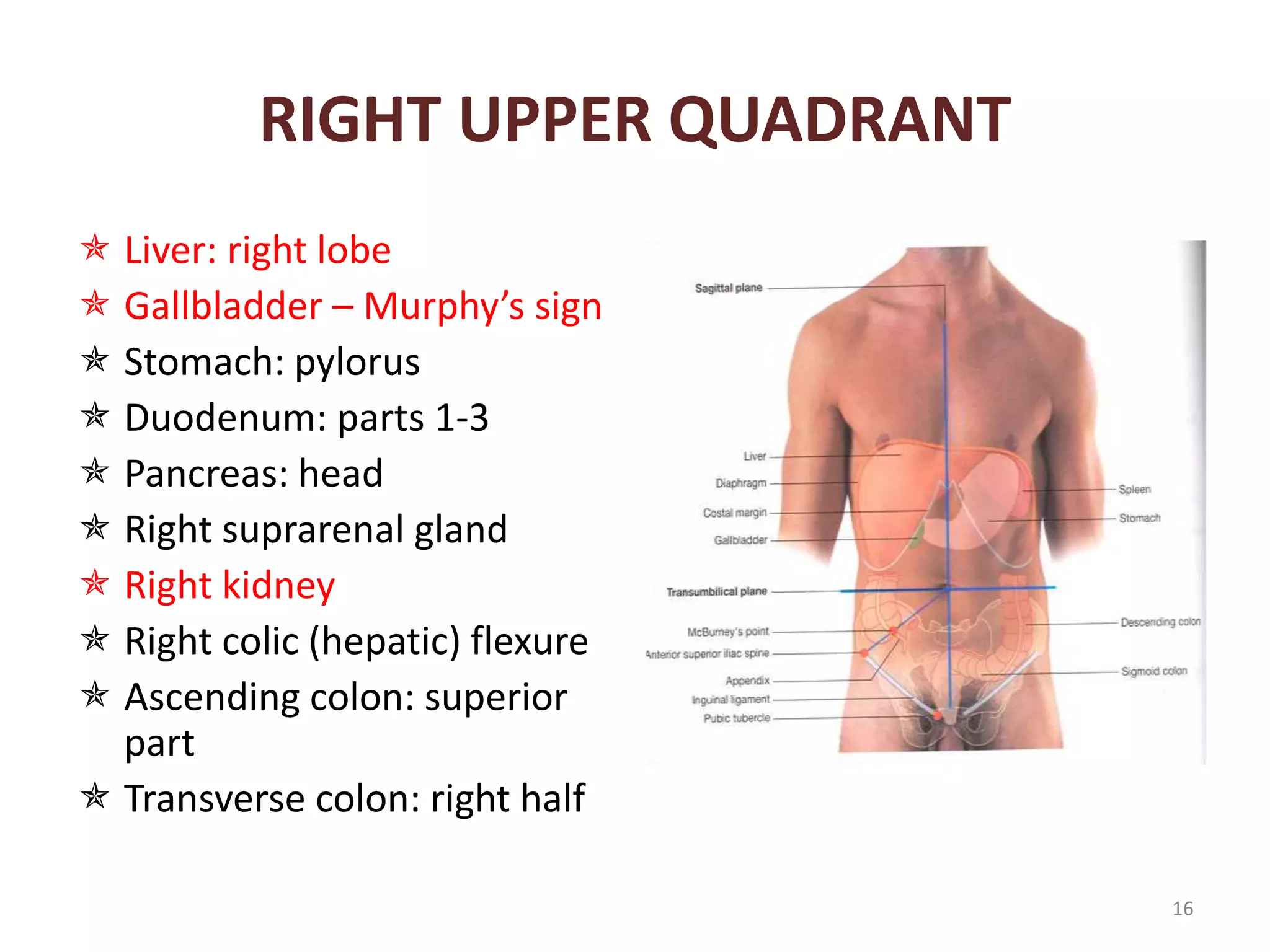 Abdominal examination | PPTX