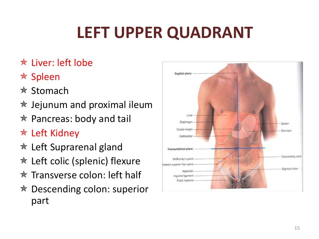 Abdominal examination