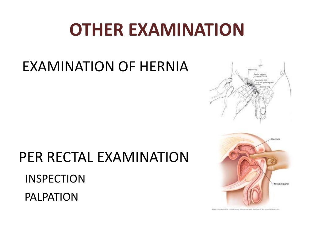 Abdominal examination