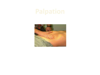 Palpation
 