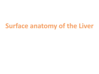 Surface anatomy of the Liver
 