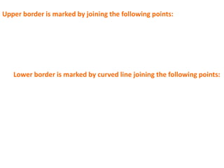 Upper border is marked by joining the following points:
1st point Lt. 5th intercostal space in the MCL “apex of the heart”
2nd point Xiphisternal joint.
3rd point Upper border of 5th rib in Rt. MCL
4th point 7th rib at RT MAL.
5th point  9th rib at RT scapular line.
Lower border is marked by curved line joining the following points:
1st point Lt. 5th intercostal space in the MCL “apex of the heart”
2nd point  8th costal cartilage in the Lt. parasternal line.
3rd point midway between xiphisternal junction and the umbilicus
4th point  9th costal cartilage in the Rt. MCL.
5th point  10th rib in the Rt. MAL.
6th point  12th rib in Rt. Scapular line
 